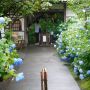 総門
