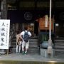 本堂・大施餓鬼会