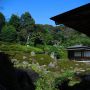 庭園