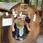 ご神木くぐり