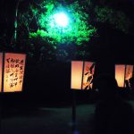 鶴岡八幡宮～ぼんぼり祭り２０１８～三十選「花」編