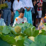 鶴岡八幡宮～夏越祭（２０１８年）～ぼんぼり祭り