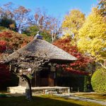 鎌倉・長寿寺◆境内散歩◆