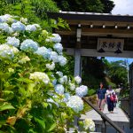 鎌倉・成就院◆境内散歩◆