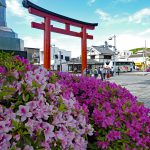 三ノ鳥居◆鶴岡八幡宮・境内散歩（その４）◆