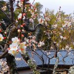 禅居院◆鎌倉・建長寺・境内散歩◆