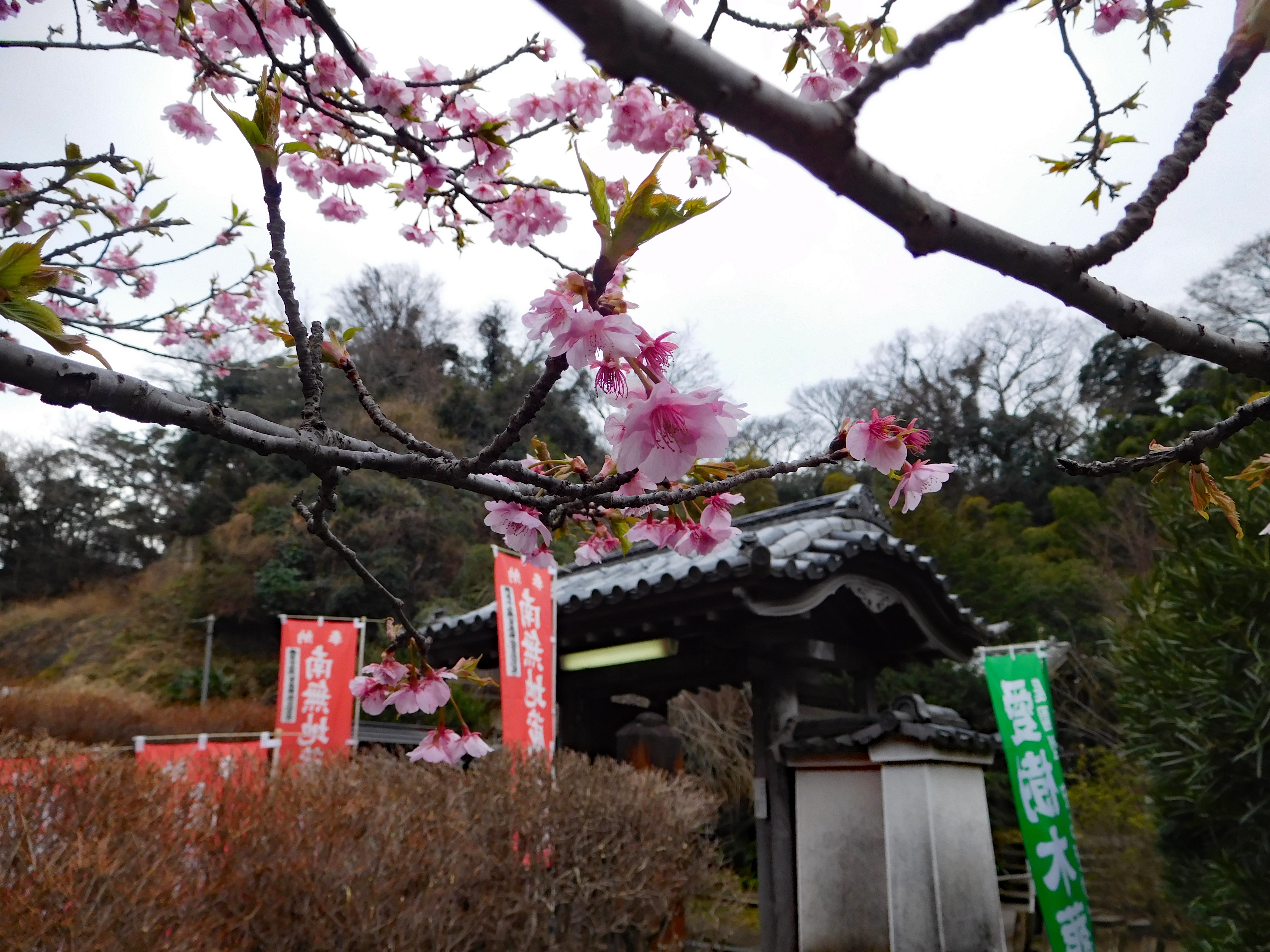 鎌倉・円応寺◇境内散歩◇ - 湘南鎌倉寺社巡礼