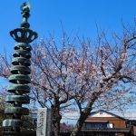 鎌倉・妙長寺◆境内散歩◆