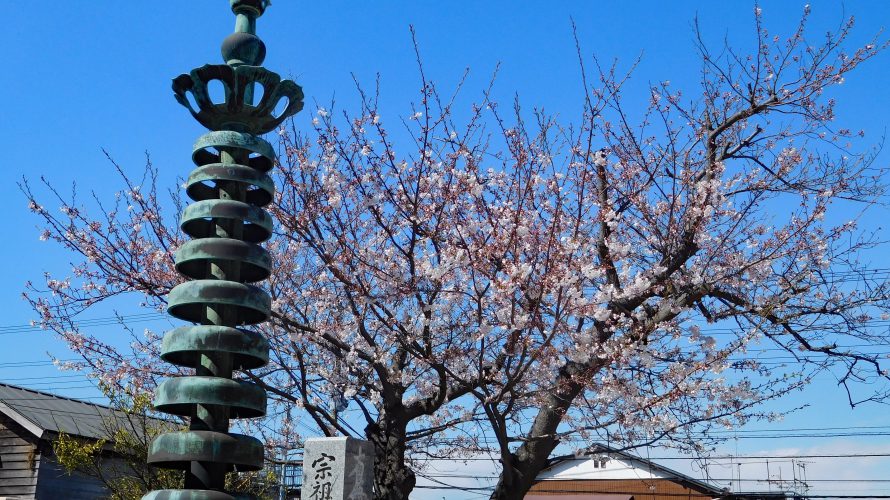 鎌倉・妙長寺◆境内散歩◆