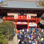 鶴岡八幡宮・一月の祭礼と行事～寒牡丹華やぐ睦月～