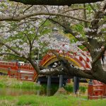 金沢八景・称名寺◆境内散歩（その２）◆称名寺庭園～阿字ケ池・反橋/平橋～北条顕時/貞顕墓所等