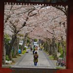 金沢八景・称名寺◆境内散歩（その１）◆赤門・仁王門・光明院等