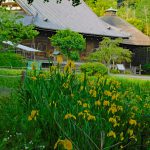 金沢八景・称名寺◆境内散歩（その３）◆金堂・釈迦堂・鐘楼・北条実時墓所・八角堂等