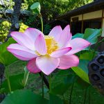 海雲山・岩殿寺◆坂東三十三観音霊場（第二番）参拝◆