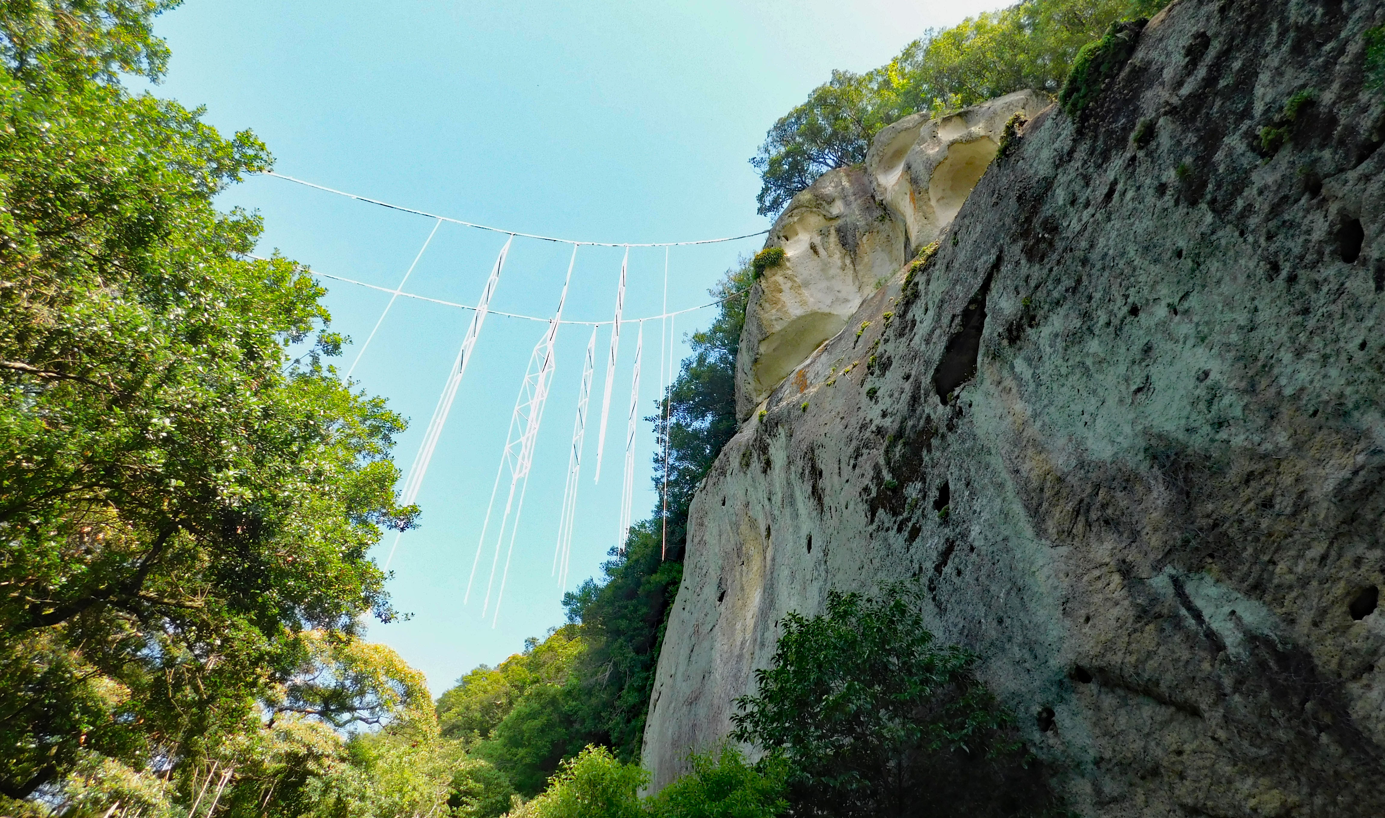 花窟神社（はなのいわやじんじゃ）◇境内散歩◇熊野三山遠征記（第六回
