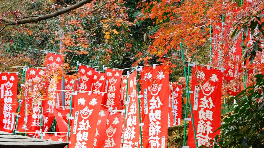 佐助稲荷神社（さすけいなり）◆境内散歩◆～御塚・霊狐泉