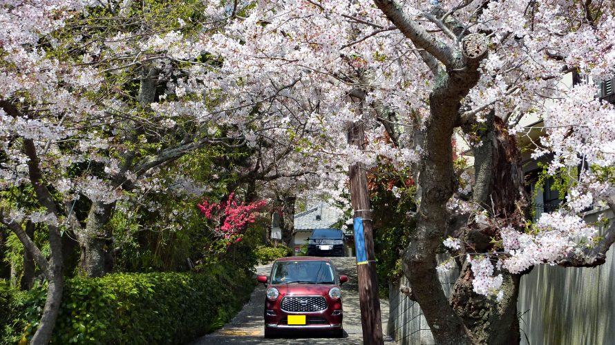 鎌倉・薬王寺~徳川忠長公供養塔~